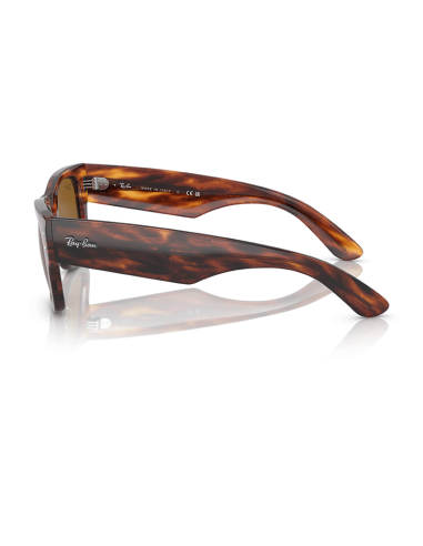 RAYBAN 954/33 - Habana a rayas
