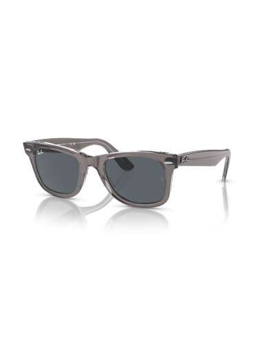 RAYBAN Wayfarer 1355R5 - Gris sobre transparente