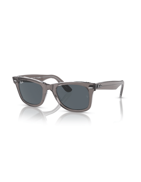 RAYBAN Wayfarer 1355R5 - Gris sobre transparente