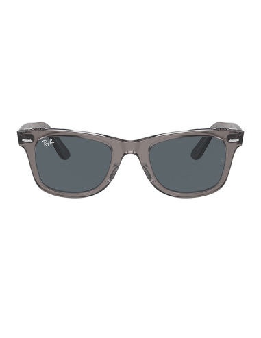 RAYBAN Wayfarer 1355R5 - Gris sobre transparente