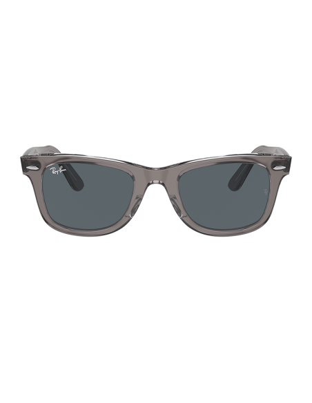 RAYBAN Wayfarer 1355R5 - Gris sobre transparente