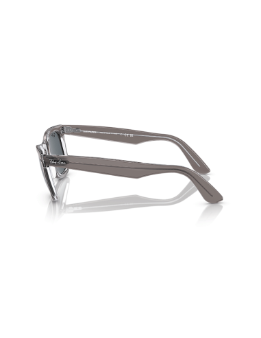 RAYBAN Wayfarer 1355R5 - Gris sobre transparente
