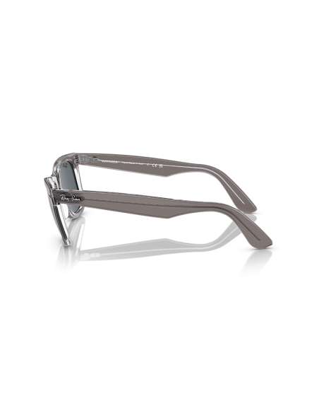 RAYBAN Wayfarer 1355R5 - Gris sobre transparente
