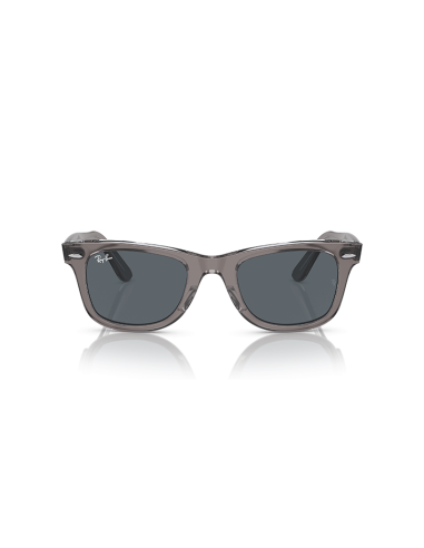 RAYBAN Wayfarer 1355R5 - Gris sobre transparente