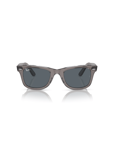 RAYBAN Wayfarer 1355R5 - Gris sobre transparente