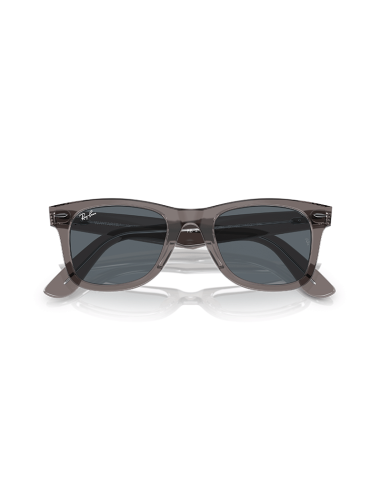 RAYBAN Wayfarer 1355R5 - Gris sobre transparente