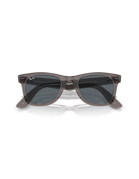 RAYBAN Wayfarer 1355R5 - Gris sobre transparente