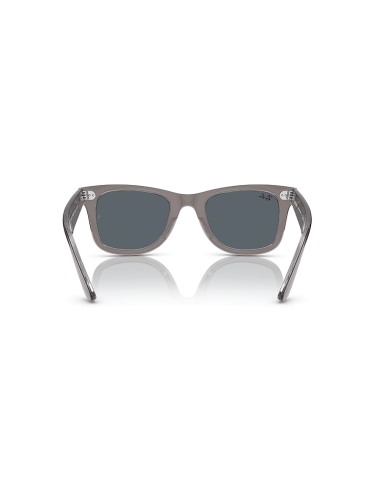 RAYBAN Wayfarer 1355R5 - Gris sobre transparente