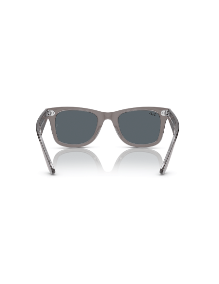 RAYBAN Wayfarer 1355R5 - Gris sobre transparente