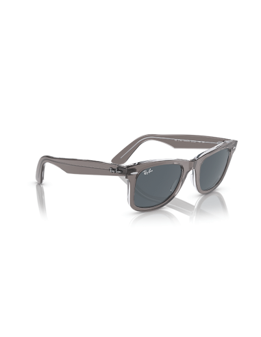 RAYBAN Wayfarer 1355R5 - Gris sobre transparente