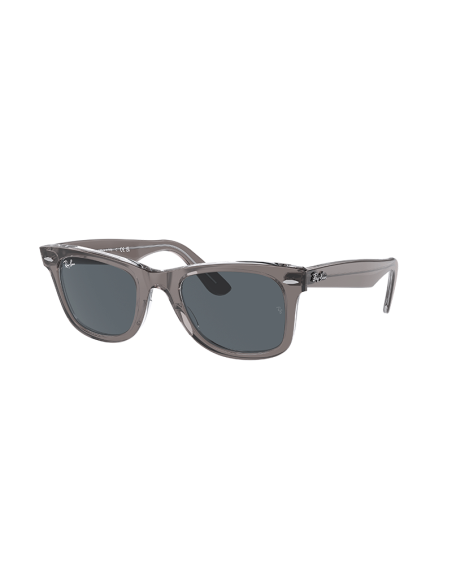 RAYBAN Wayfarer 1355R5 - Gris sobre transparente