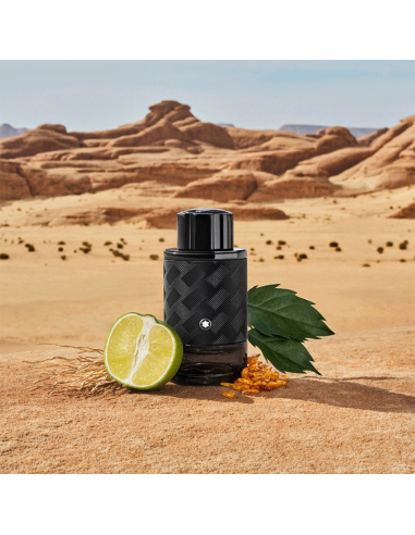 Montblanc Explorer Extreme Deodorant Stick