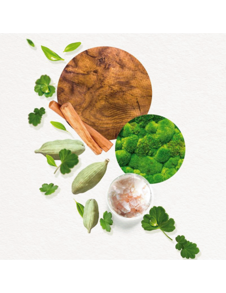 Annayake Kogai For Him Eau de Toilette