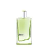 EVERGREEN - JIL SANDER | ESENNIA