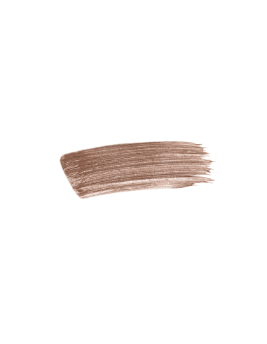 Sisley Phyto Sourcils Fix