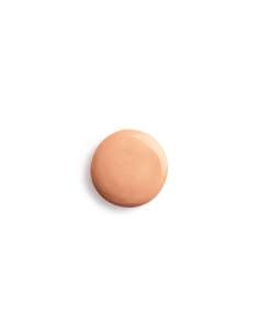 Sisley Sisleya Le Teint 2