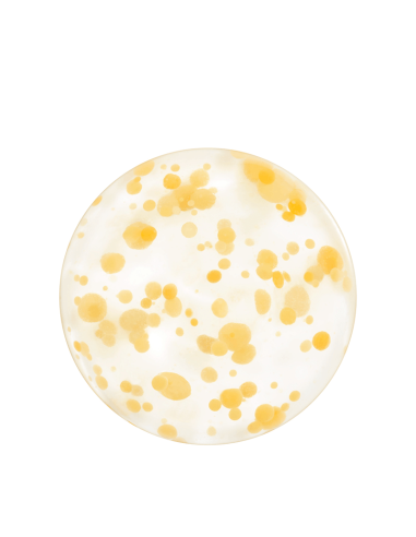 SHISEIDO WASO YUZU-BEAUTY SLEEPING MASK-REFILL...