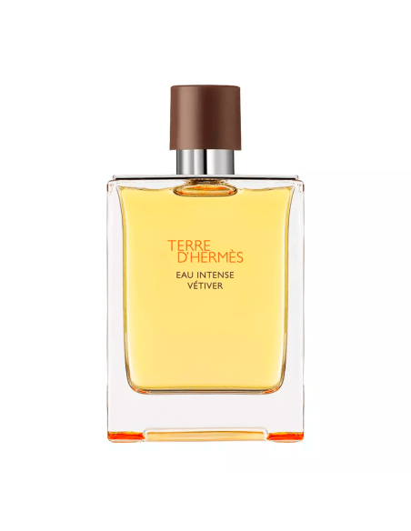 Terre D'Hermes Eau Intense Vetiver Hermès