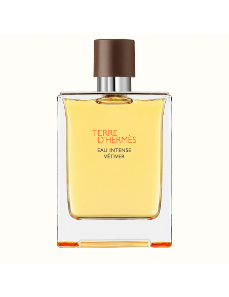 Terre D'Hermes Eau Intense Vetiver Hermès
