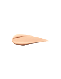 Shiseido Synchro Skin... 2