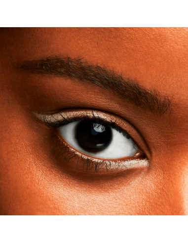 Shiseido Pop PowderGel Eye Shadow