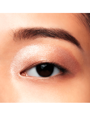 Shiseido Pop PowderGel Eye Shadow