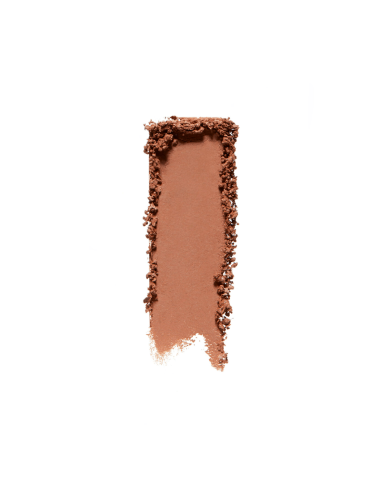 Shiseido Pop PowderGel Eye Shadow