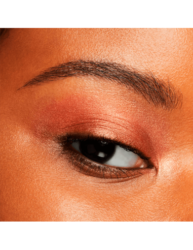 Shiseido Pop PowderGel Eye Shadow