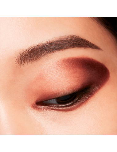 Shiseido Pop PowderGel Eye Shadow