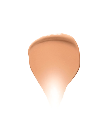 Shiseido Synchro Skin Self-Refreshing Tint