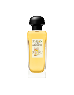 Caleche Hermès 2