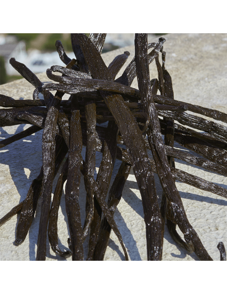 Devotion Dolce&Gabbana