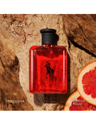 Polo Red Ralph Lauren Eua de Toilette