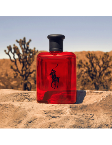 Polo Red Ralph Lauren Eua de Toilette