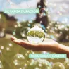NOA - CACHAREL | ESENNIA