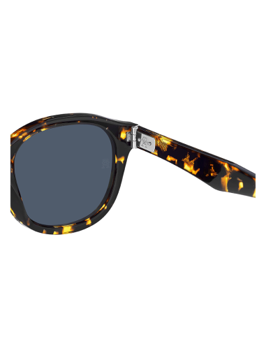 TOMMY HILFIGER 2031/S 206319 HAVANA