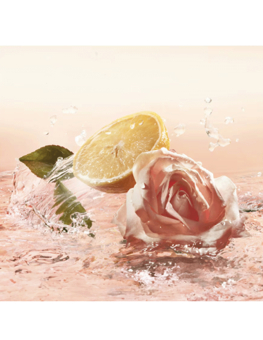 Idôle Lancôme Eua de Toilette