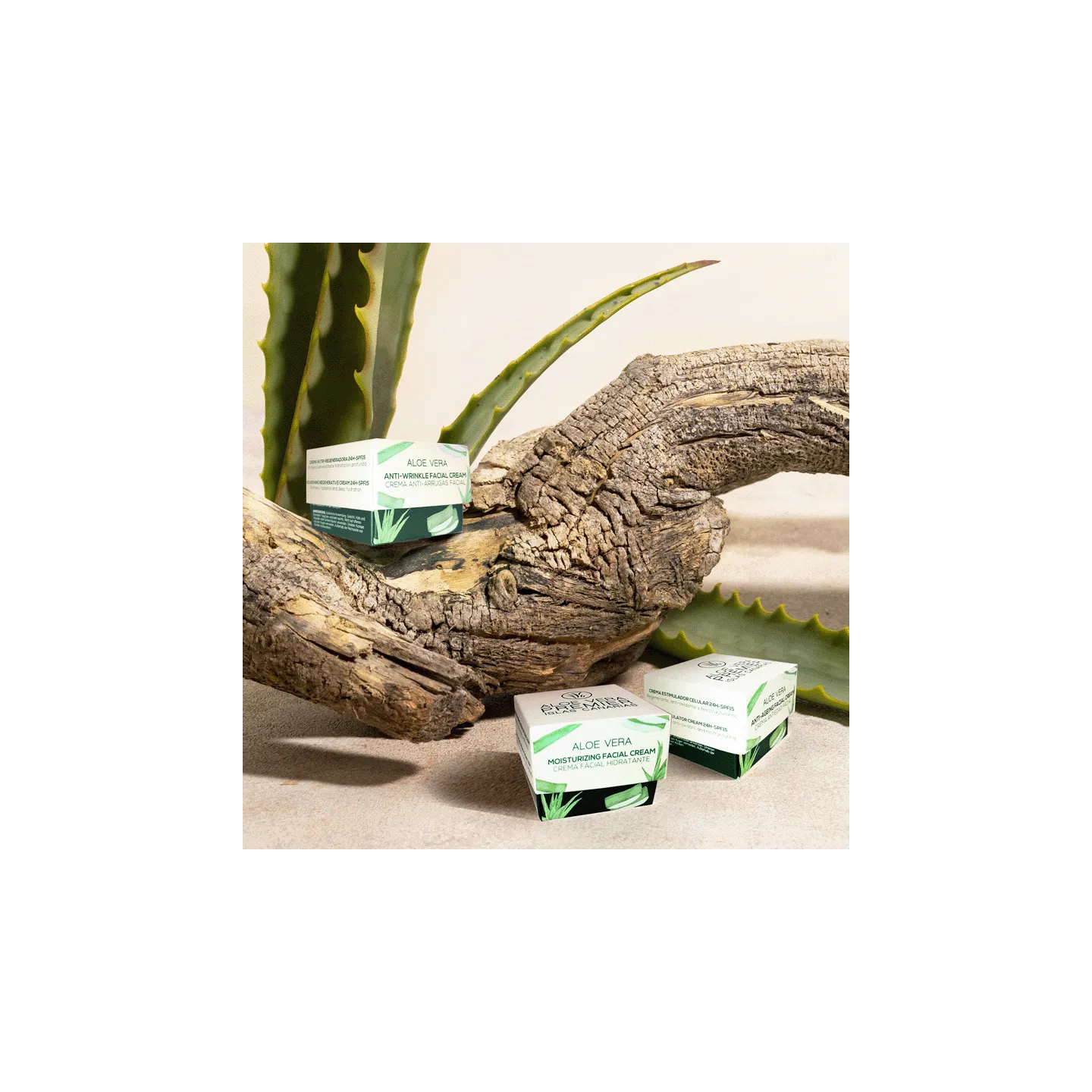 bioearth aloe vera Bioearth Aloe Vera Gel with Organic Tea Tree oil geeli 100ml – House of  Organic main image 0