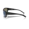 ARNETTE 4256 | ESENNIA