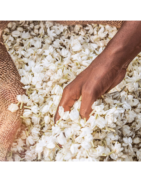 Alien Eau de Toilette Mugler