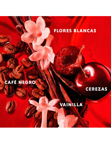 Black Opium Over Red