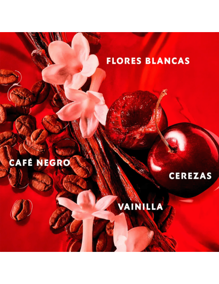 Black Opium Over Red