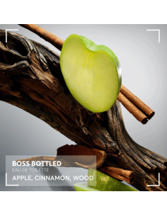 BOSS BOTTLED DEO STICK 2