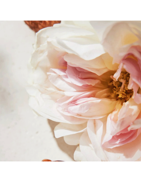 Chloé Eau de Parfum Chloé