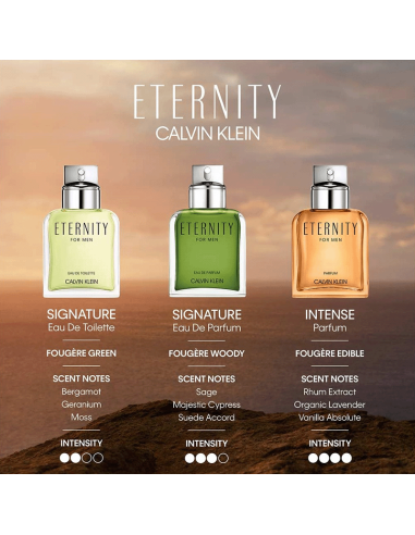 Eternity Parfum For Men Calvin Klein