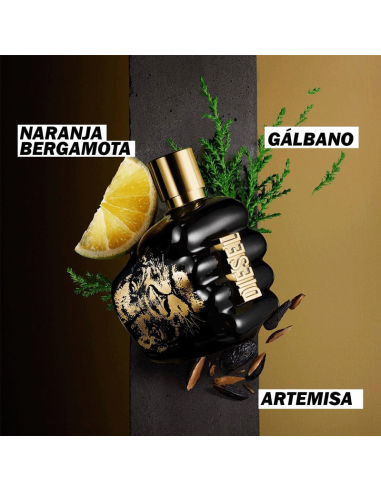 Spirit Of The Brave Diesel