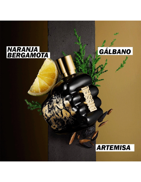 Spirit Of The Brave Diesel