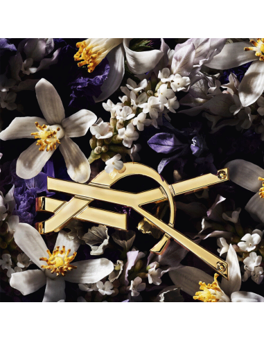 Libre L'Absolu Platine Yves Saint Laurent