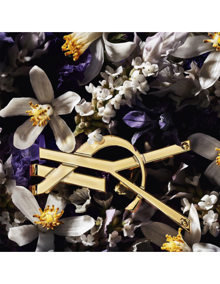 Libre L'Absolu Platine Yves Saint Laurent