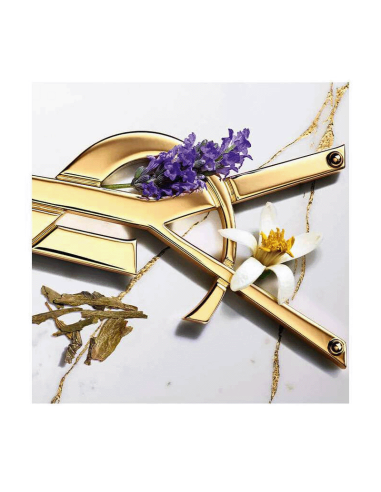 Libre Eau de Toilette Yves Saint Laurent